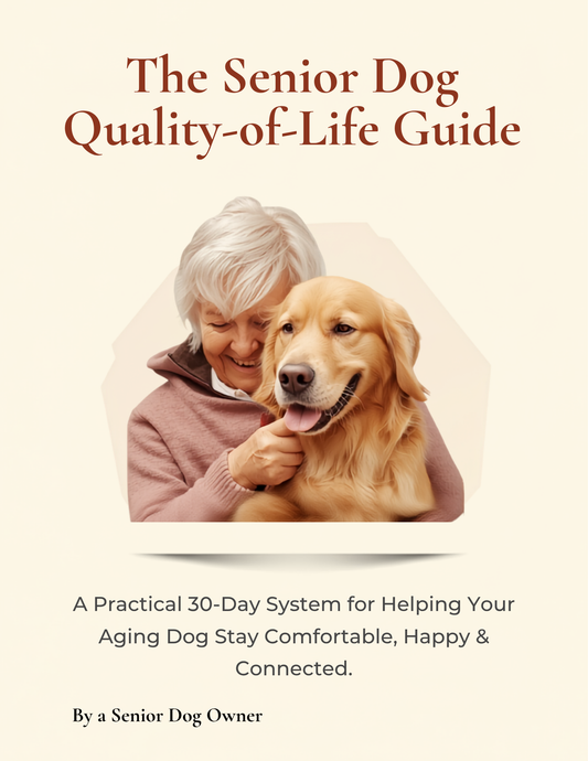 The Senior Dog Quality of Life Guide