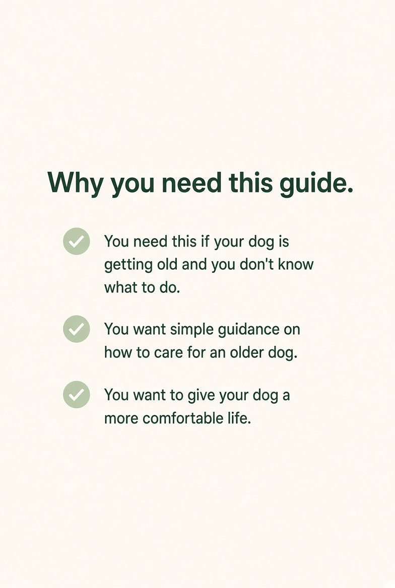The Senior Dog Quality of Life Guide