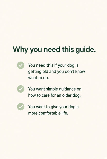 The Senior Dog Quality of Life Guide