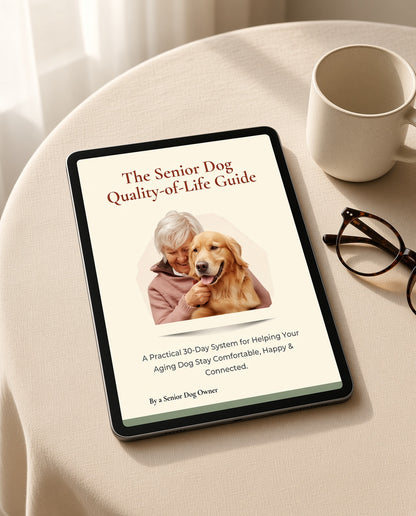 The Senior Dog Quality of Life Guide
